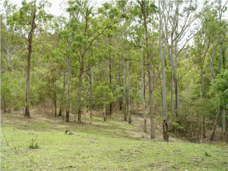 58  Ryans Gully Road, Eatonsville NSW 2460