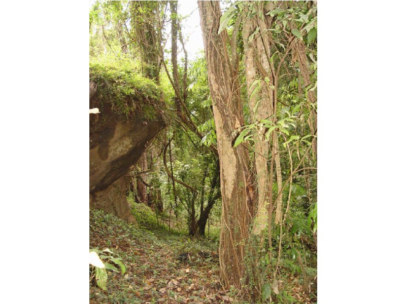 58  Ryans Gully Road, Eatonsville NSW 2460