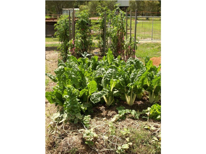 41  Bellengen Street, Tucabia NSW 2462