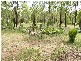 497 Old Glen Innes Road, Waterview Heights NSW 2460