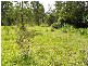 497 Old Glen Innes Road, Waterview Heights NSW 2460