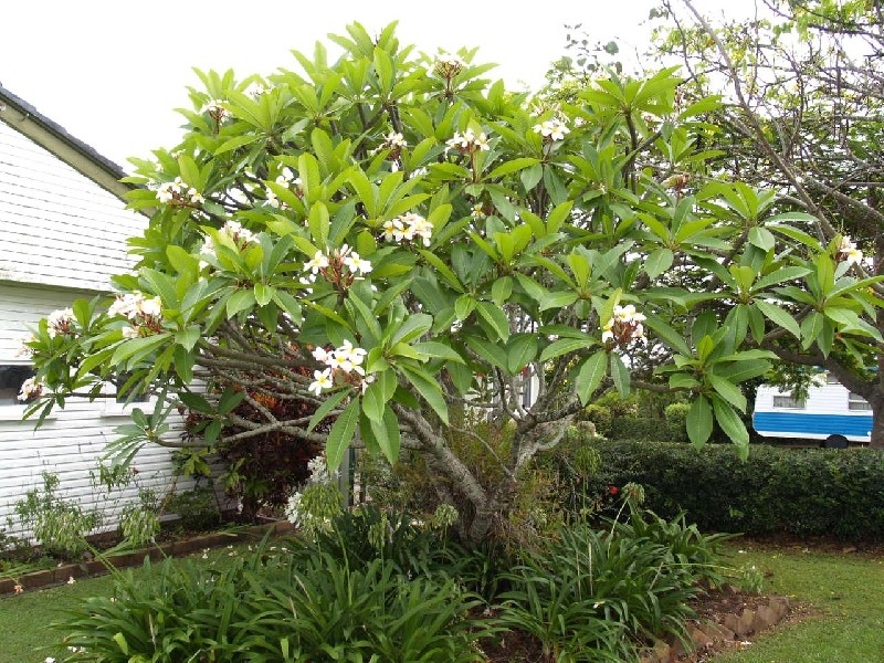 272 Bent Street, South Grafton NSW 2460