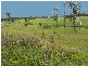 20 Iron Bark Terrace, South Grafton NSW 2460