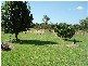 235 Lower Kangaroo Creek Road, Coutts Crossing NSW 2460