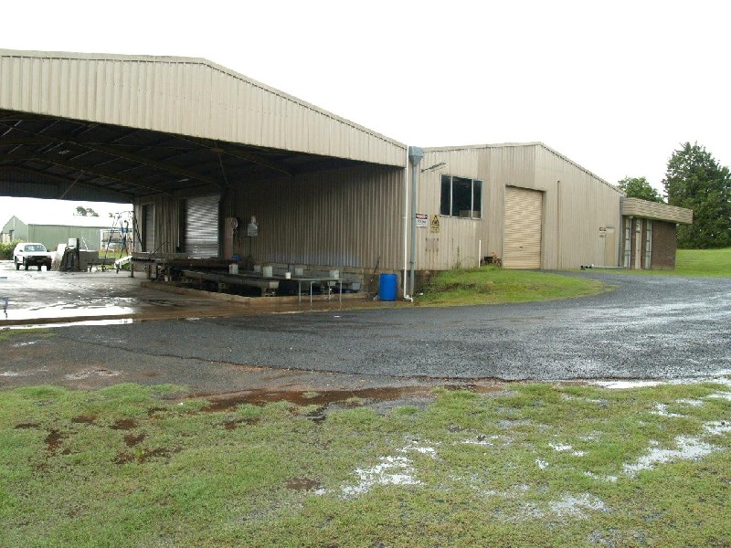 20 Swallow Road, South Grafton NSW 2460