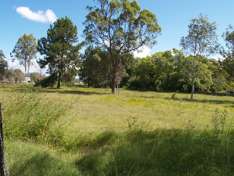 1269 Summerland Way, Mountain View NSW 2460