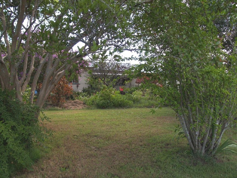 1269 Summerland Way, Mountain View NSW 2460