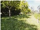 1269 Summerland Way, Mountain View NSW 2460