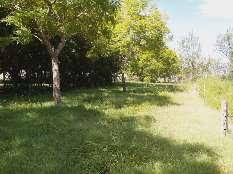1269 Summerland Way, Mountain View NSW 2460