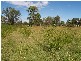 1269 Summerland Way, Mountain View NSW 2460