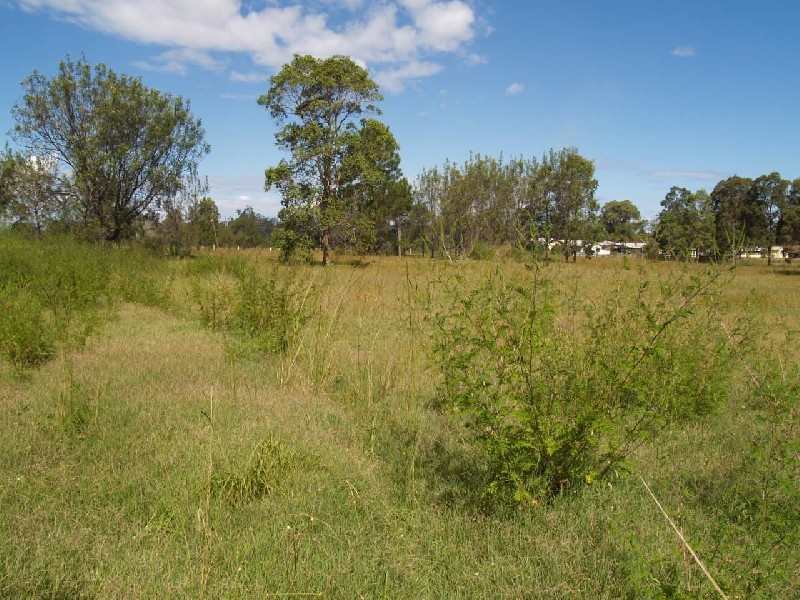 1269 Summerland Way, Mountain View NSW 2460