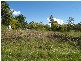 1269 Summerland Way, Mountain View NSW 2460