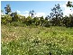 1269 Summerland Way, Mountain View NSW 2460
