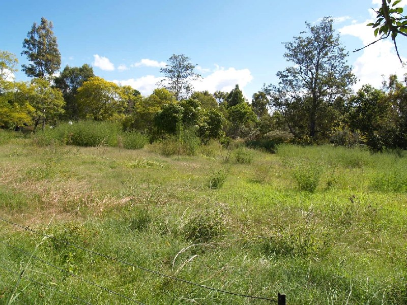 1269 Summerland Way, Mountain View NSW 2460