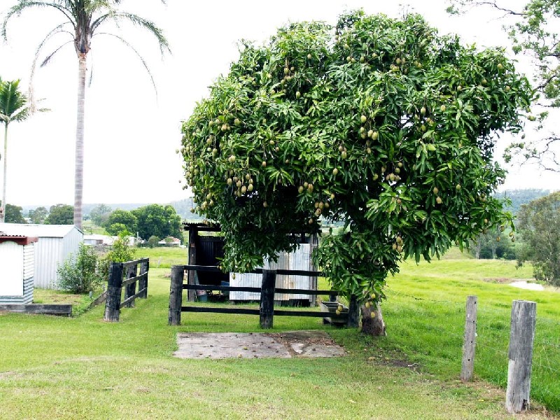 2389 Clarence Way, Upper Copmanhurst NSW 2460