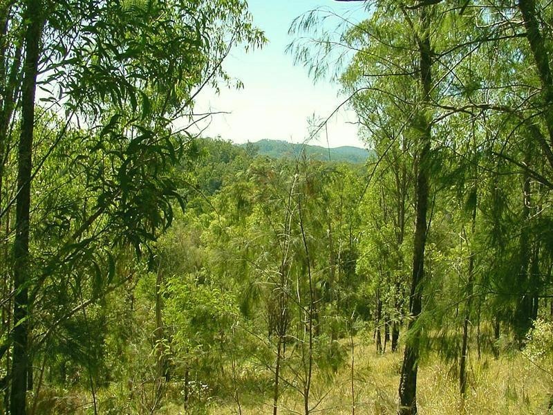 Lot 651 Laytons Range Road, Nymboida NSW 2460