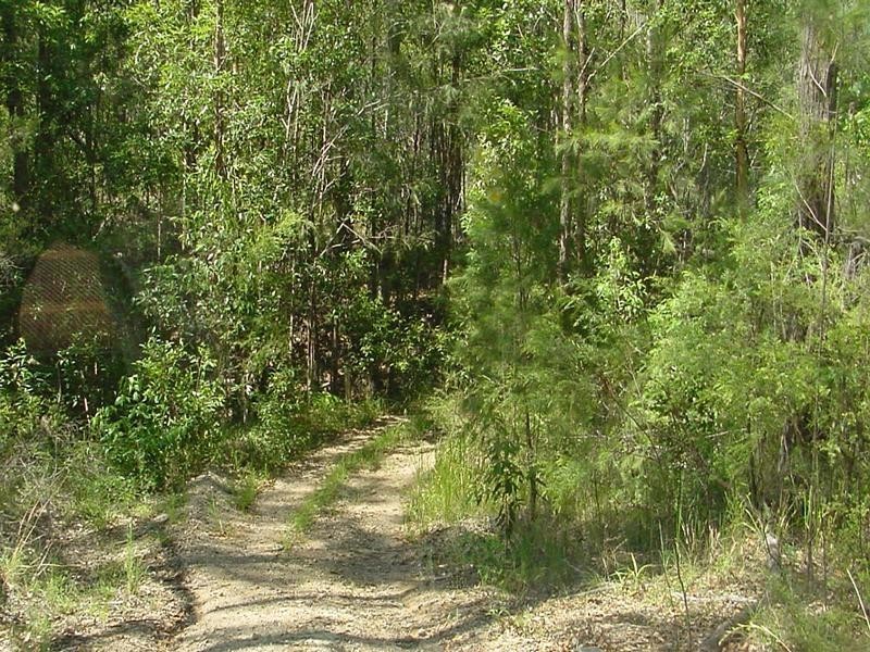 Lot 651 Laytons Range Road, Nymboida NSW 2460