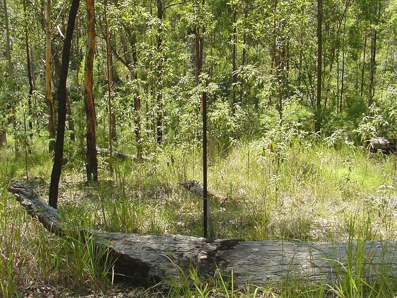 Lot 651 Laytons Range Road, Nymboida NSW 2460