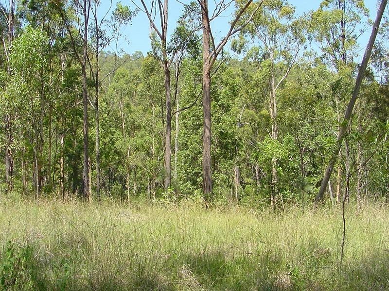 Lot 651 Laytons Range Road, Nymboida NSW 2460