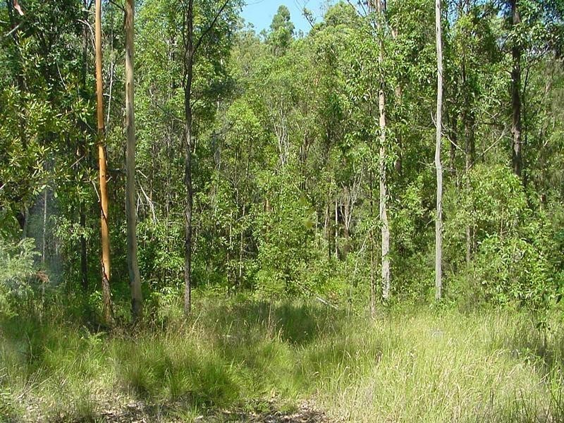Lot 651 Laytons Range Road, Nymboida NSW 2460