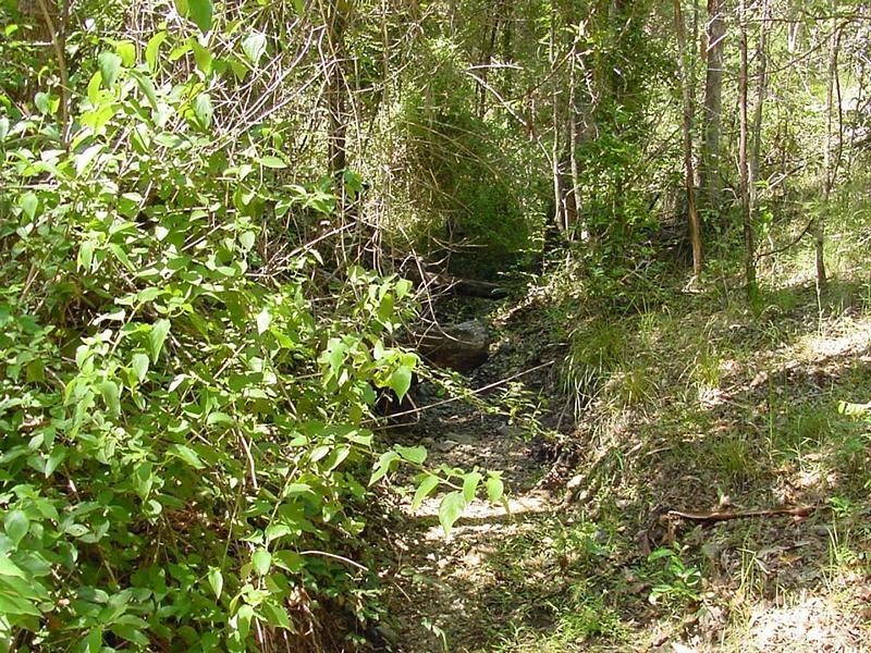 Lot 651 Laytons Range Road, Nymboida NSW 2460