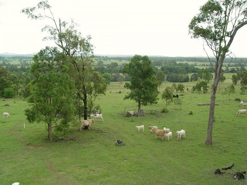 1632 Armidale Road, Coutts Crossing NSW 2460