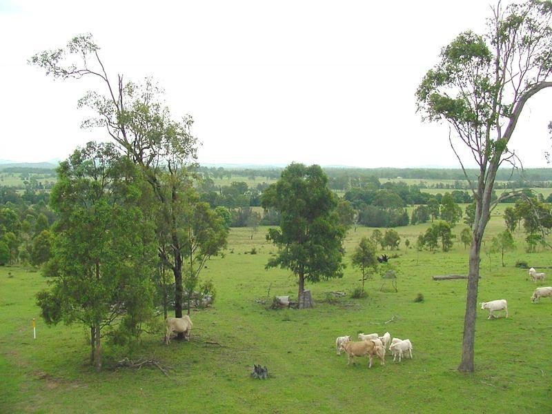 1632 Armidale Road, Coutts Crossing NSW 2460