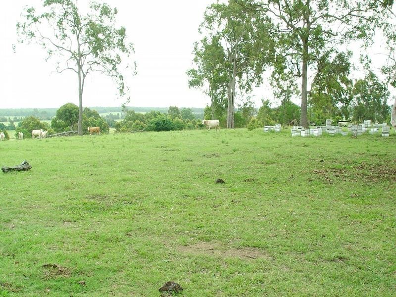 1632 Armidale Road, Coutts Crossing NSW 2460