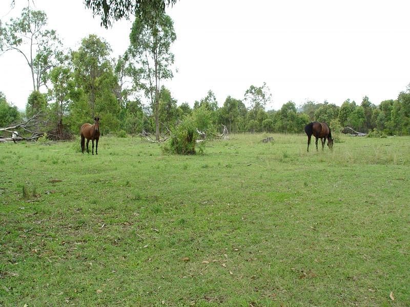 1632 Armidale Road, Coutts Crossing NSW 2460