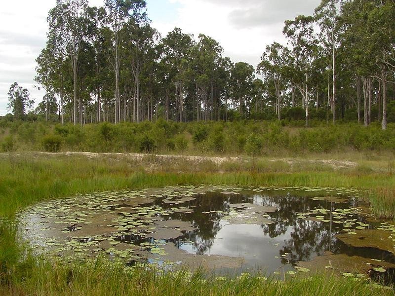 Lot 1 Moe McIntosh Way, Coutts Crossing NSW 2460