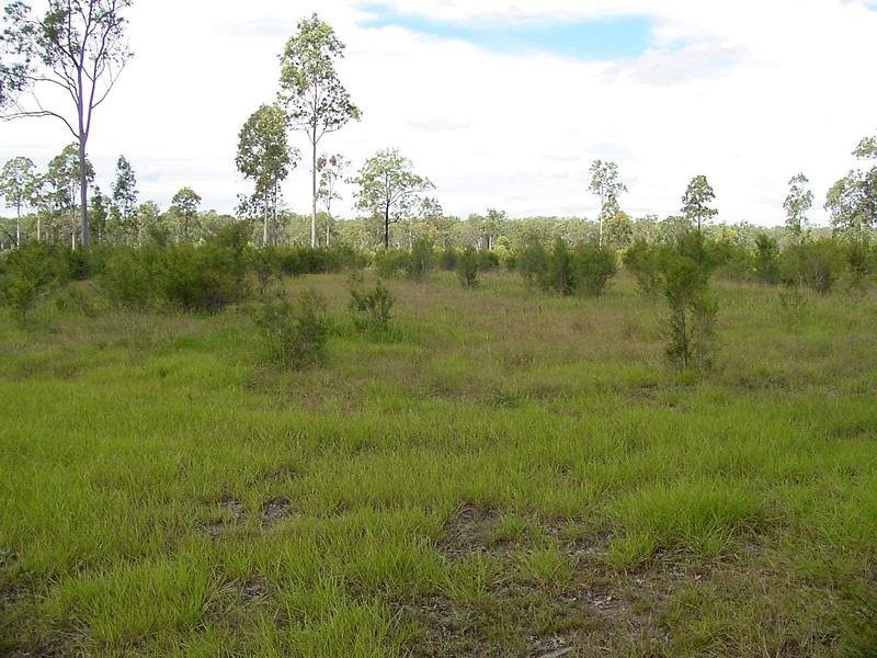 Lot 1 Moe McIntosh Way, Coutts Crossing NSW 2460