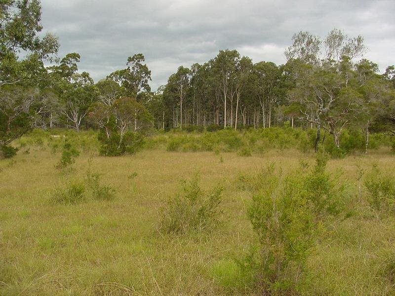 Lot 1 Moe McIntosh Way, Coutts Crossing NSW 2460