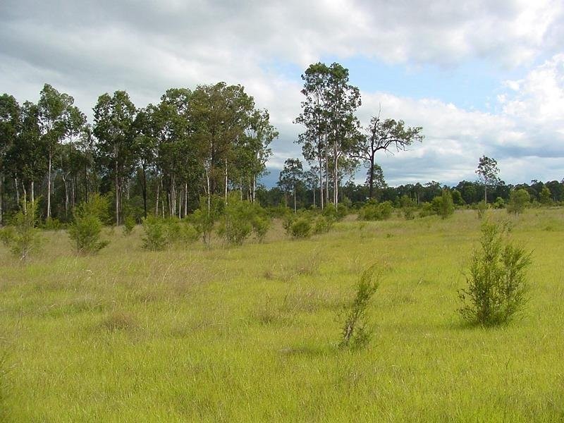 Lot 1 Moe McIntosh Way, Coutts Crossing NSW 2460