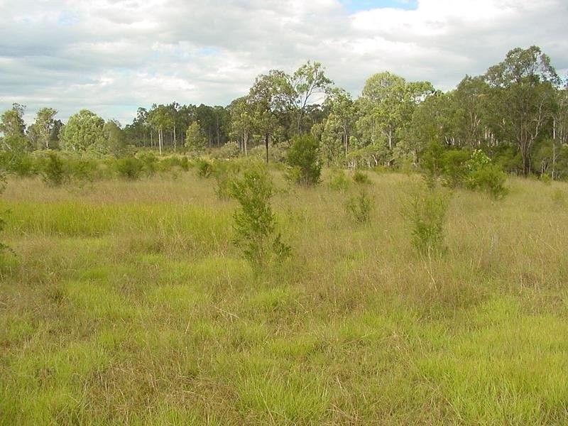 Lot 1 Moe McIntosh Way, Coutts Crossing NSW 2460