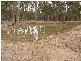 Burragan Road, Coutts Crossing NSW 2460