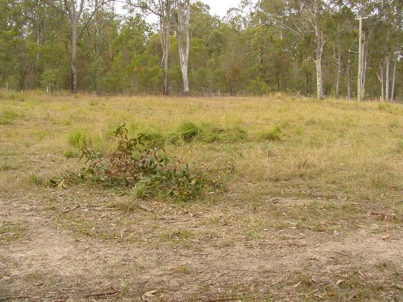 Burragan Road, Coutts Crossing NSW 2460