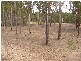 Burragan Road, Coutts Crossing NSW 2460