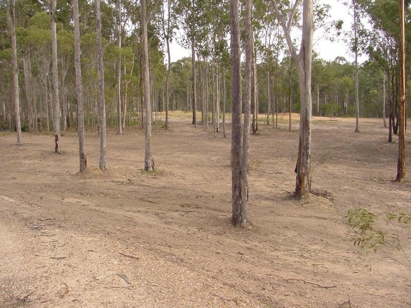 Burragan Road, Coutts Crossing NSW 2460