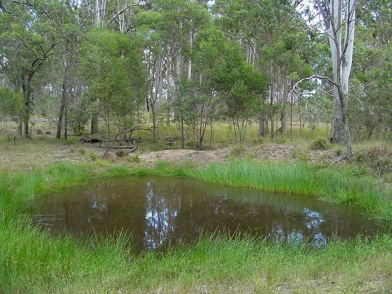 Lot 2 Burragan Road, Coutts Crossing NSW 2460