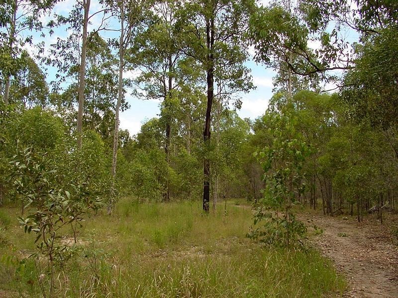 Lot 2 Burragan Road, Coutts Crossing NSW 2460