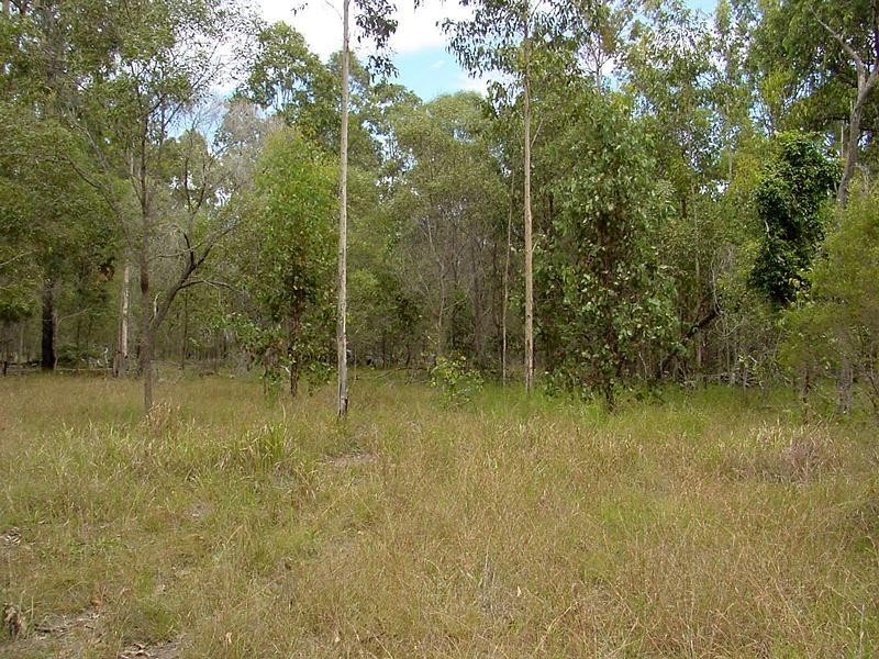 Lot 2 Burragan Road, Coutts Crossing NSW 2460