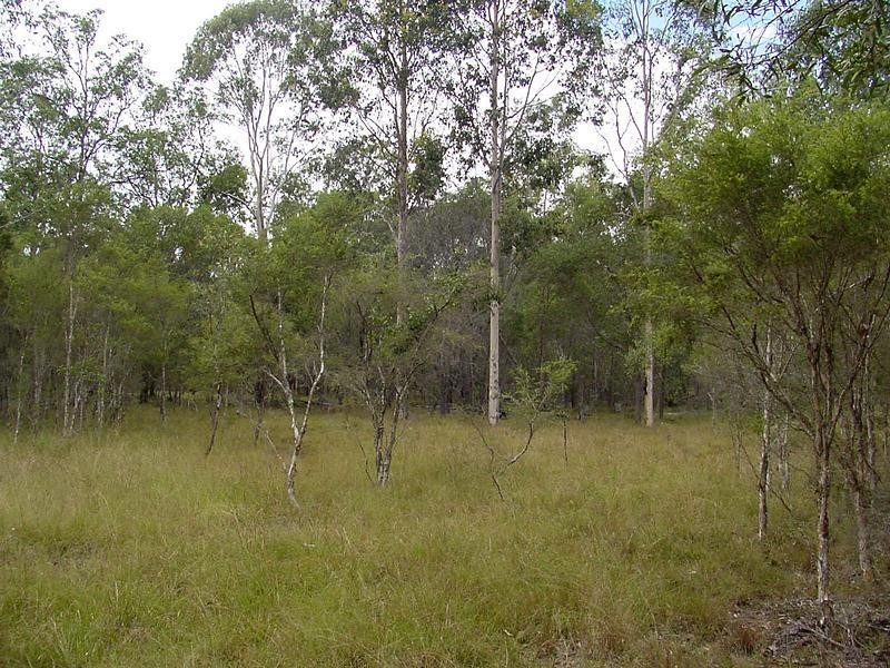 Lot 2 Burragan Road, Coutts Crossing NSW 2460