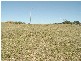 Lot 16 Bush Drive, South Grafton NSW 2460