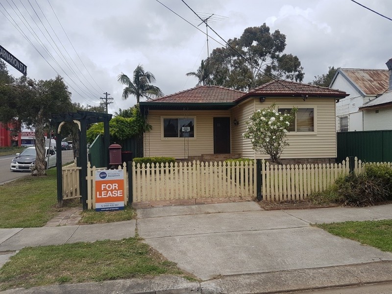17 Grey Street, Auburn NSW 2144