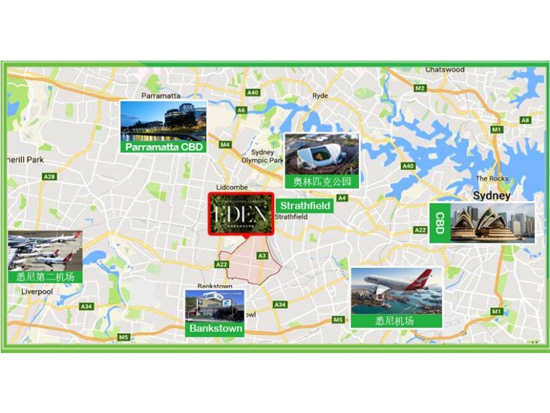 Greenacre NSW 2190 Floorplan