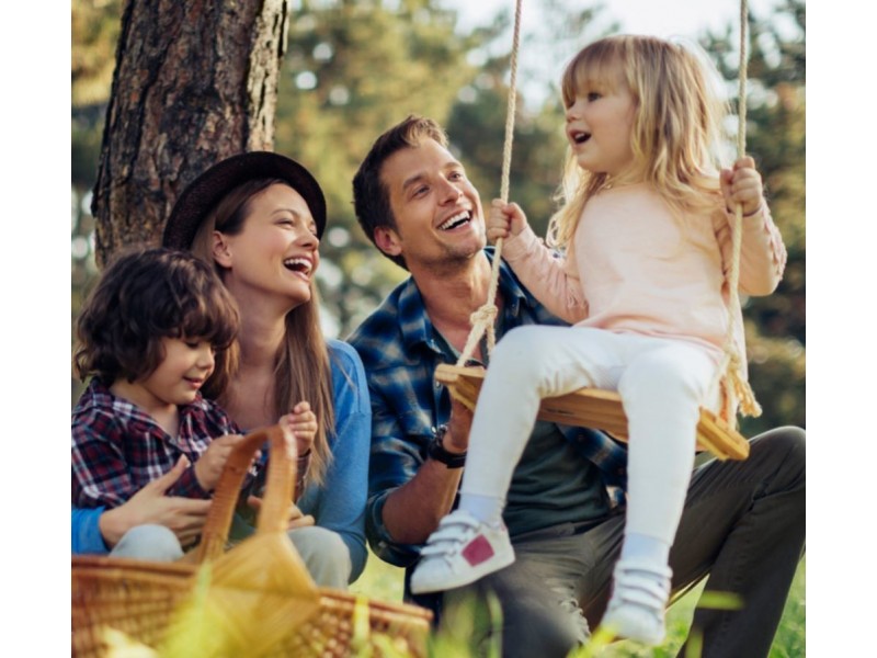 225-241 Hume Highway, Greenacre NSW 2190