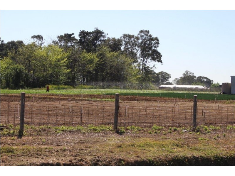 875 Fifteenth Avenue, Kemps Creek NSW 2178