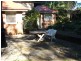 30 Lyne Road, Cheltenham NSW 2119