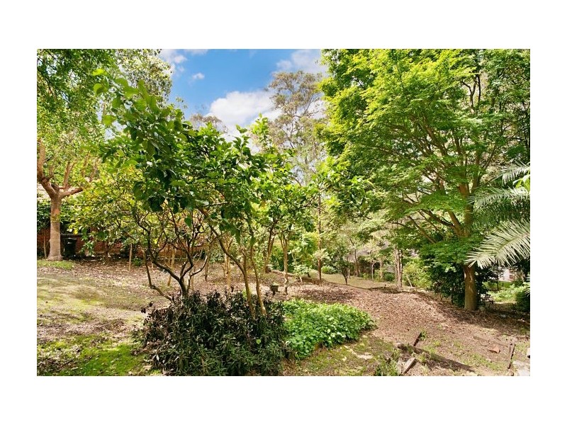 39 Beecroft Road, Beecroft NSW 2119