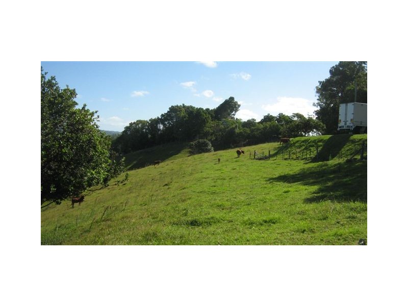 Tweed Heads South NSW 2486